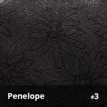 Penelope 3